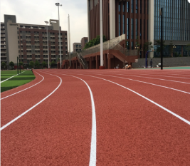 塑膠跑道廠家 塑膠跑道廠家