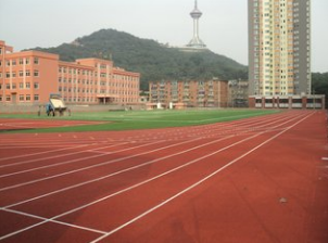 塑膠跑道廠家 塑膠跑道廠家