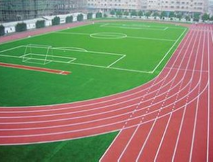 塑膠跑道廠家 塑膠跑道廠家